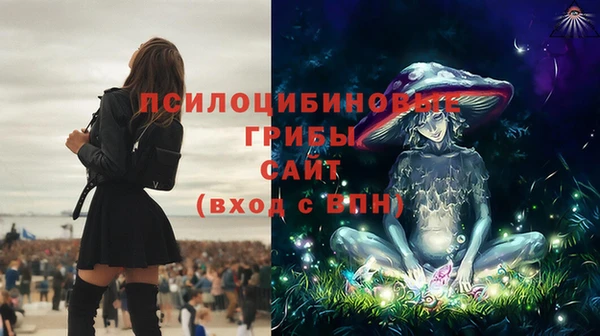 стафф Сатка